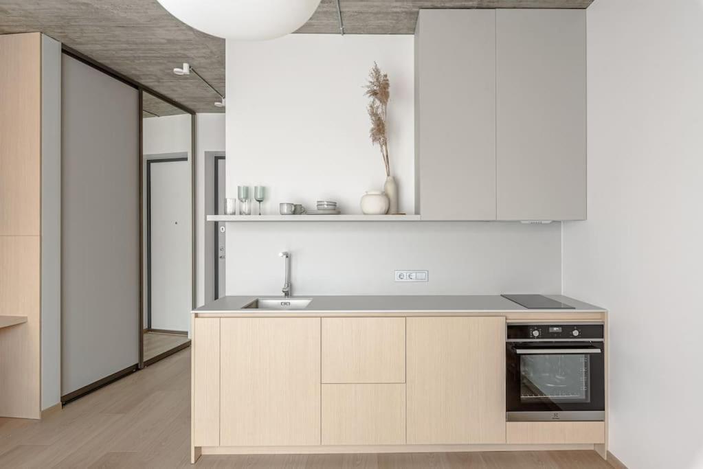 Cozy Japanese Oasis With Balcony, Gramophone, Netflix Apartment Vilnius Exterior photo